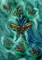 Butterflies 2