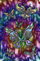 Butterflies 3