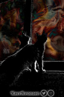 Cats Looking At Space