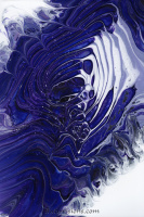 Cosmic Tidepool