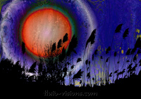 Distant Sun