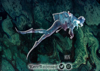 Diver