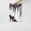 Acid Rain: Print
