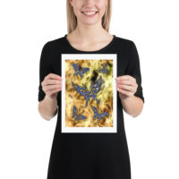 Butterflies: Print With Margin Prints butterflies