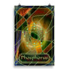 Element 15 - Phosphorus: Print - Image 2