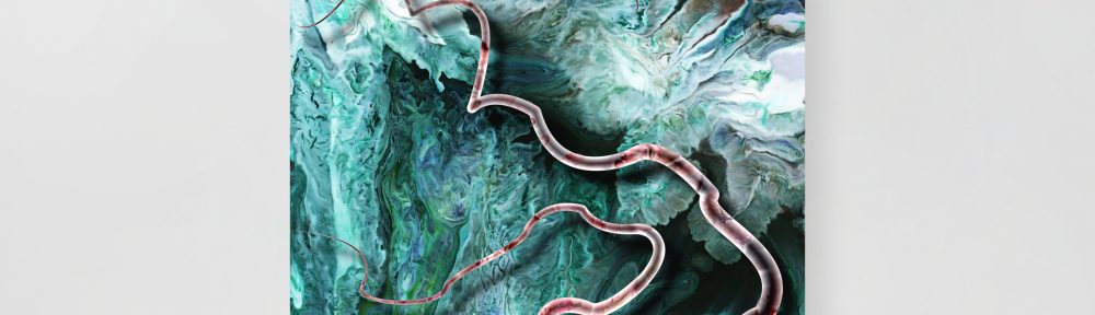 Nematode Worms: Print Prints nematode worms