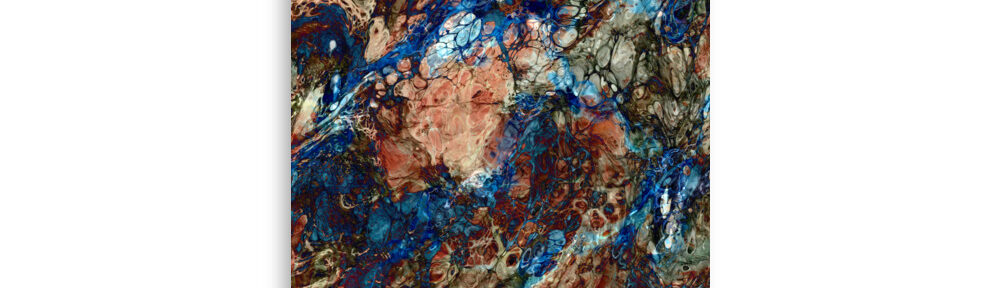 Streambed: Print Prints streambed