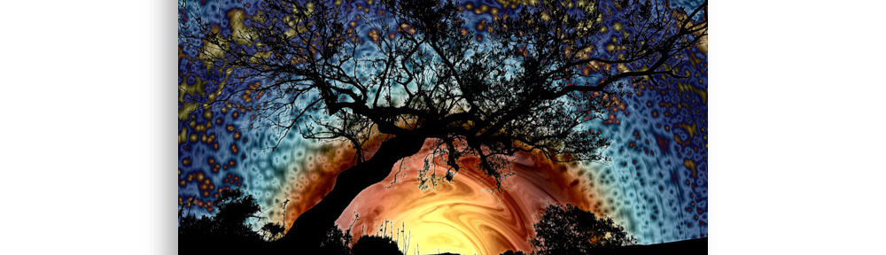 Sunset 6: Print Prints sunset 6