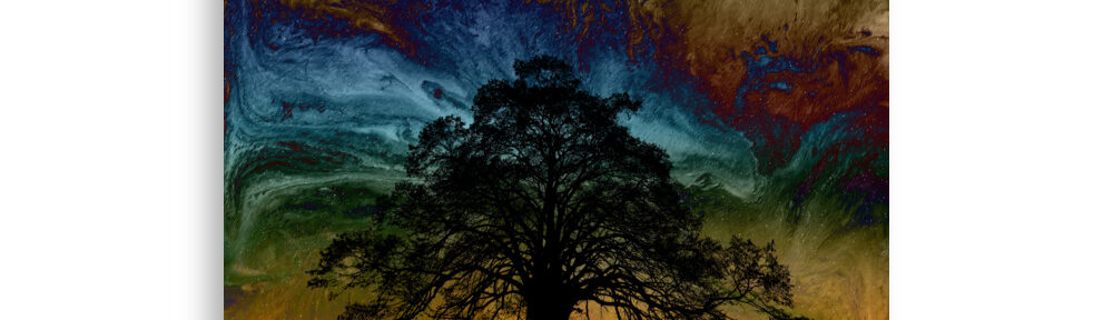 Sunset 7: Print Prints sunset 7