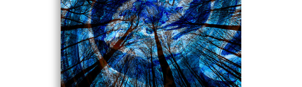 Vertigo: Print Prints vertigo