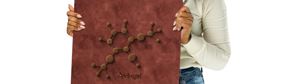 Syringol Molecule: Print Prints syringol molecule