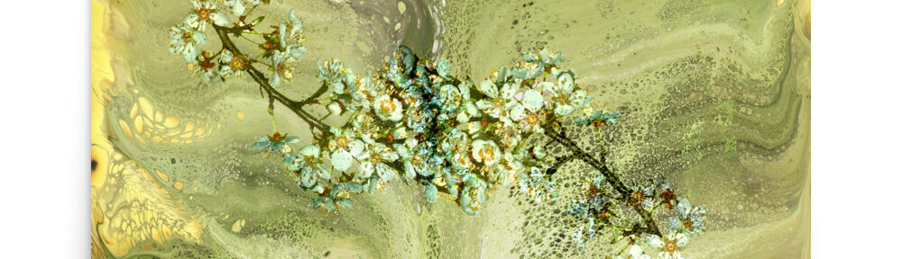 Sakura Entanglement: Print Prints sakura entanglement